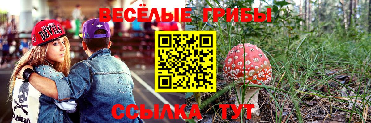 Щёлково  Псилоцибиновые грибы Cubensis  Вход с VPN 